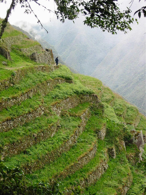 Hiking in Peru, on the trail to Machu Picchu
